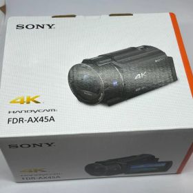 【新品未開封】SONY 4K HANDYCAM FDR-AX45A ビデオカメラ