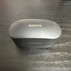 SONY WF-1000XM4