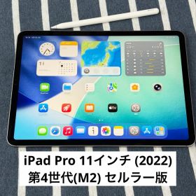 Apple iPad Pro 11インチ 第4世代 セルラー版 MNYC3J/A