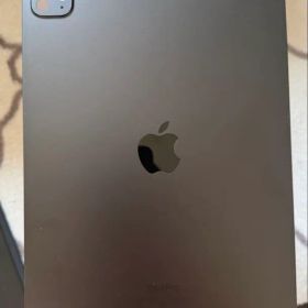 Apple iPad Pro 11-inch (M4) 本体 256GB