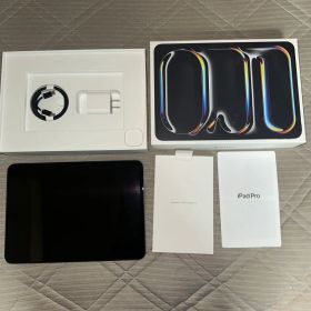 iPad Pro (第8世代) 11インチ スペースブラック 256GB Wi…