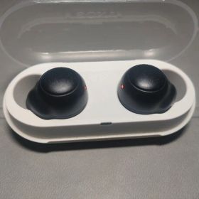 SONY 完全ワイヤレスイヤホン WF-C500 (色違い)
