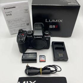 【美品】Panasonic LUMIX DC-S5M2 ボディ フルサイズミラーレス一眼