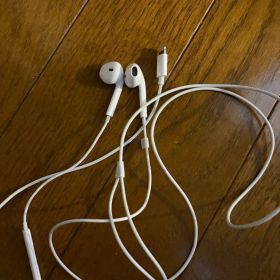 Apple EarPods Lightningコネクタ 本体