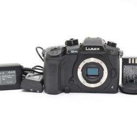 ★SD保存不可品★パナソニック LUMIX DC-GH5 ボディ #21323
