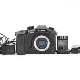 ★SD保存不可品★パナソニック LUMIX DC-GH5 ボディ #21279