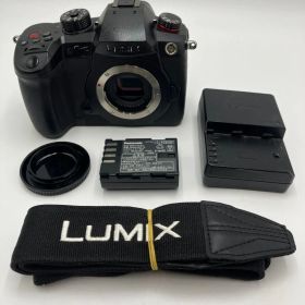 【動作確認済】Panasonic LUMIX DC-GH5M2 ボディ