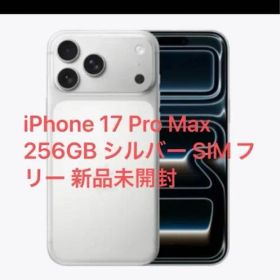 ✳︎未開封品✳︎ iPhone17promax シルバー 256gb