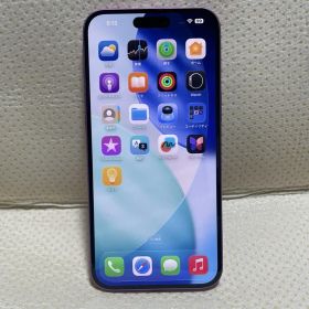 iPhone 16 Plus SIMフリー 6.7インチ 128GB WiFi7