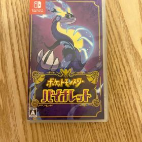 Nintendo Switch ポケットモンスター バイオレット 動作確認済み