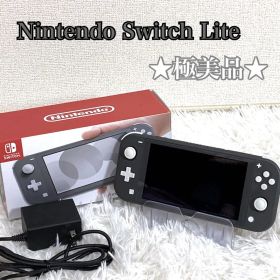 ★極美品★ Nintendo Switch Lite グレー 充電コード 箱あり