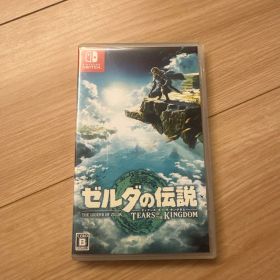 ゼルダの伝説 ティアーズ オブ ザ キングダム