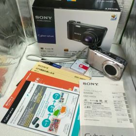 SONY Cyber-shot DSC-HX5V 本体【美品】