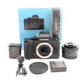 シャッター数490枚 Panasonic LUMIX DC-G100K ミラーレス一眼カメラ 標準ズームレンズキット ブラック パナソニック