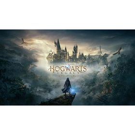 SEGA セガ ホグワーツ・レガシー Hogwarts Legacy【Switch】