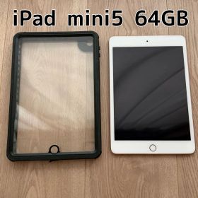 美品 iPad mini5 64GB iPad mini Apple 第5世代