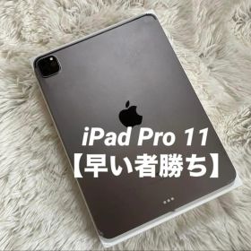 【ラスト1台】iPad Pro 11インチ 第2世代 512GB 【すぐ発送】