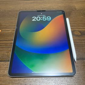 Apple iPad Pro 11 本体 第4世代+ Apple Pencil