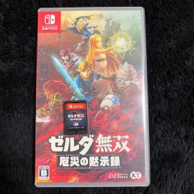 ゼルダ無双 厄災の黙示録 Nintendo Switch