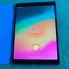 2017年購入iPad Pro 10.5インチ 256 GB セルラーモデル