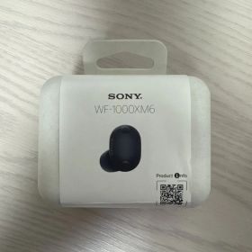 SONY WF-1000XM6 ワイヤレスイヤホン 本体