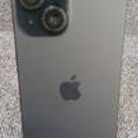 IPHONE15 MTMH3J/A APPLE