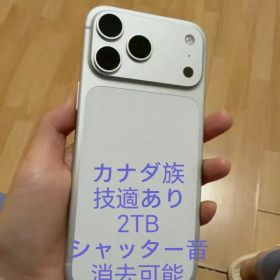 Apple iPhone 17 Pro Max Silver 2TB KW版