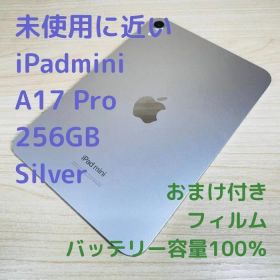 P31 超美品 iPad mini A17 Pro 256GB Wi-Fi