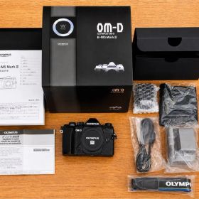 OLYMPUS OM-D E-M5 Mark III シャッター1621回 美品