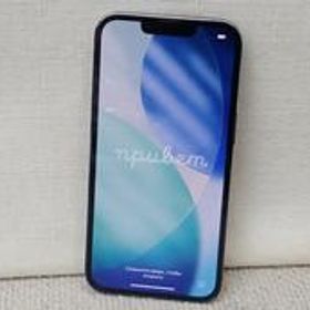 IPHONE13PRO MNDX3J/A APPLE/DOCOMO