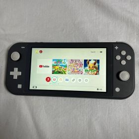 Nintendo Switch Lite 本体 HDH-001 グレー 本体のみ