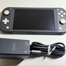 Nintendo Switch Lite グレー 本体 ACアダプター 64GB