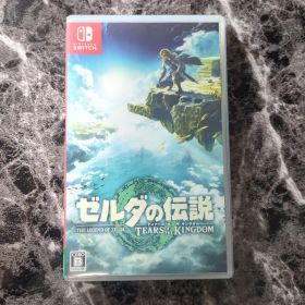 ゼルダの伝説 ティアーズ オブ ザ キングダム Switch