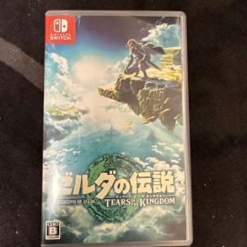ゼルダの伝説 ティアーズ オブ ザ キングダム Switch
