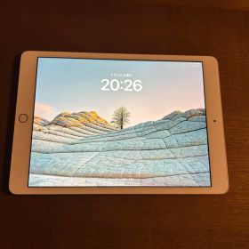 Apple iPad 第7世代 32GB 本体