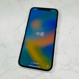 WW1690 iPhone12 Pro Max 128GB MGCX3J/A