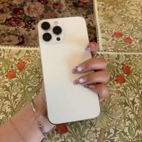 iPhone13 pro max 256gb