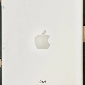 Apple iPad mini 第5世代 64GB 本体