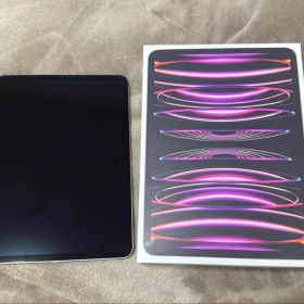 Apple iPad Pro 11インチ 第4世代 ＆Applepencil