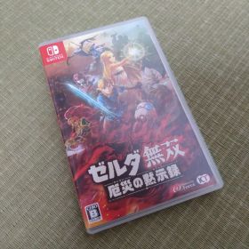 ゼルダ無双 厄災の黙示録