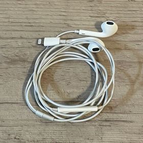 Apple EarPods Lightning イヤホン ライトニング