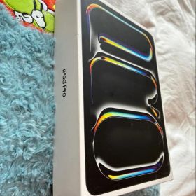 iPad Pro 11-inch (M4) 256GB