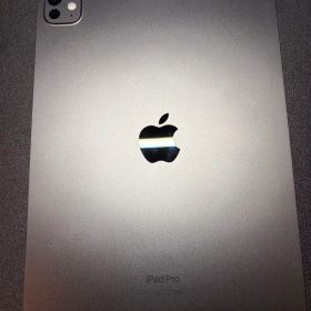 iPad Pro 11インチ M4 Wi-Fi 256GB スペースブラック美品