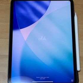 iPad Pro M4 256GB アップルペンシルプロ