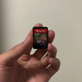 Nintendo Switch Splatoon 2 ソフト 動作確認済み！
