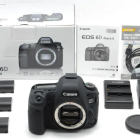 Canon EOS 6D Mark II ボディ #305