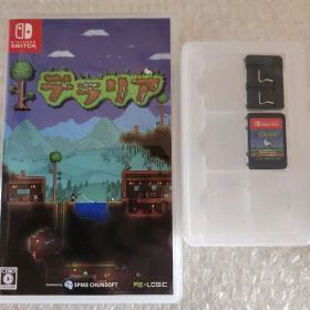 Nintendo Switch テラリア