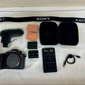 SONY α7 III ILCE-7M3 ボディ 動作確認済 防湿保管 おまけ付