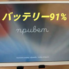 iPad mini 4 セルラー 16GB ゴールド バッテリー91%ジャンク