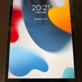 Apple iPad mini 4 本体のみ バッテリー劣化 その他事情あり
